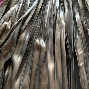 BCBGMaxAzria Skirts - BCBG Maxi Skirt BCBGMaxAzria Skirts - BCBG Maxi Skirt